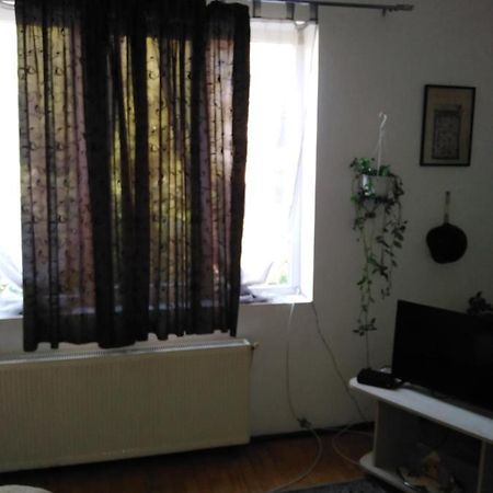 Sun Cluj Lejlighed Eksteriør billede